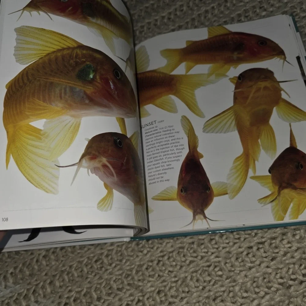 N/A ultimate aquarium